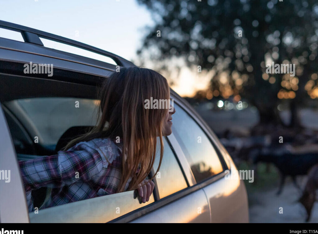 ¡La increíble aventura de una niña viajando en la parte trasera del coche! ¡La increíble aventura de una niña viajando en la parte trasera del coche!