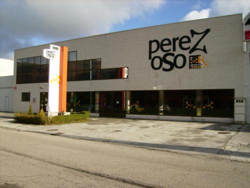 DESGUACES PEREZOSO – Tineo